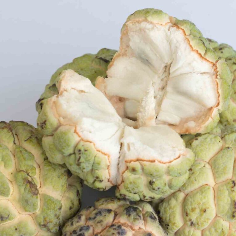 Custard Apple - Pulp Puree Concentrate