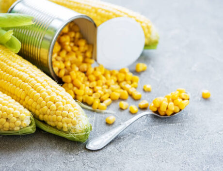 Canned Sweet Corn