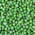 Freeze Dried Peas