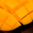 Frozen Kesar Mango