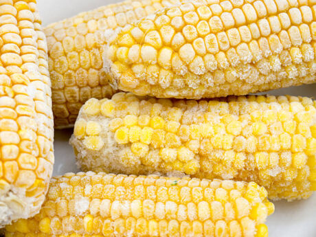 Frozen Sweet Corn on Cob