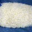 Frozen Onion