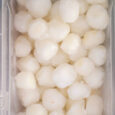Frozen Lychee